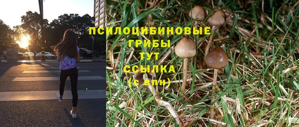 спиды Балахна