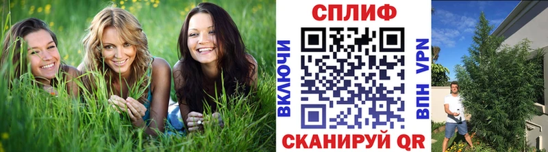 kraken ссылки  Бугуруслан  Каннабис ГИДРОПОН  где купить наркоту 